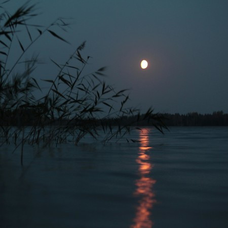 Moon River