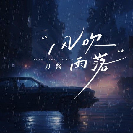 风吹雨落 (DJ版)