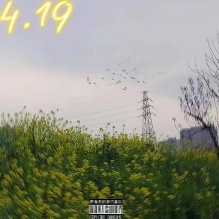 專輯封面