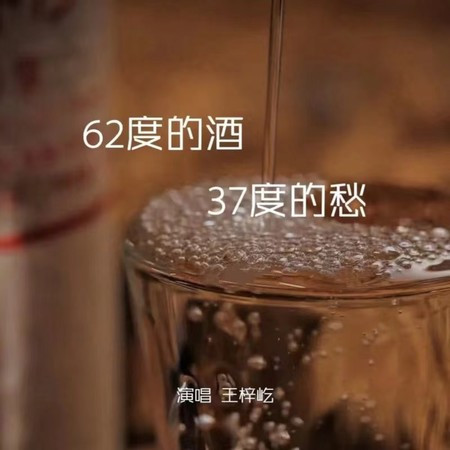 62度的酒37度的愁 (伴奏版)