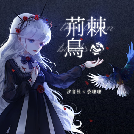荊棘鳥