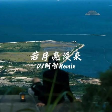 若月亮沒來 (DJ阿智版)