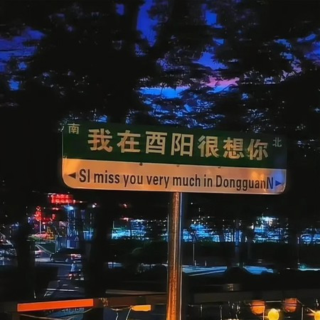 十年人间 (DJ轩迪版)