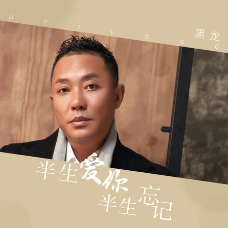 半生愛你半生忘記