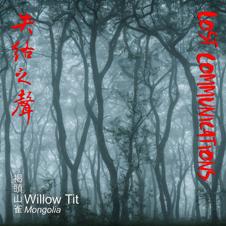 Willow Tit 褐頭山雀 (Mongolia)