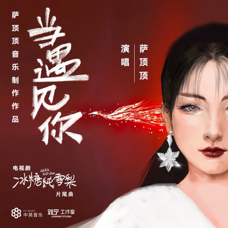 當遇見你 (電視劇《冰糖燉雪梨》片尾曲)