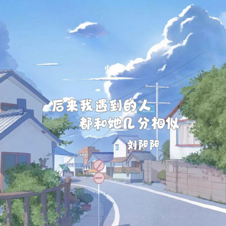 後來我遇到的人都和她幾分相似