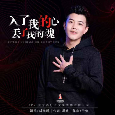 入了我的心丟了我的魂