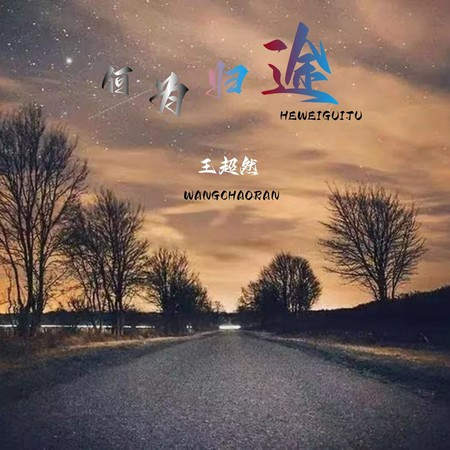 何为归途 (DJ版)
