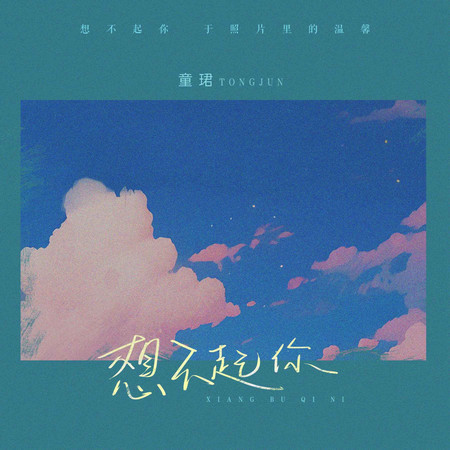 想不起你 (無)