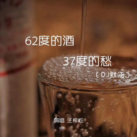 62度的酒37度的愁 (DJ默涵1.2x)