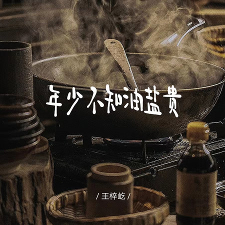 年少不知油盐贵 (DJ阿骏版伴奏)