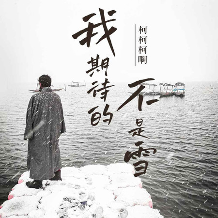 我期待的不是雪