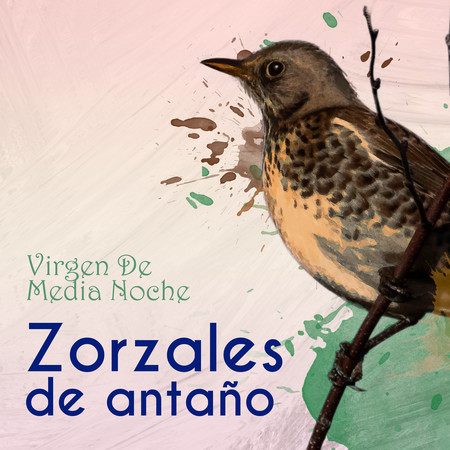 Zorzales de Antaño… Virgen De Media Noche