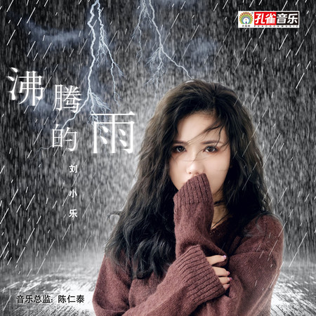 沸騰的雨 (伴奏)