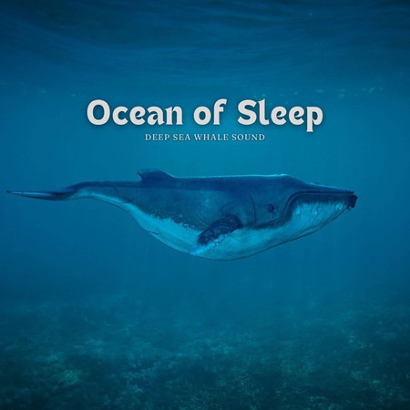 睡眠之洋 深海鯨魚聲