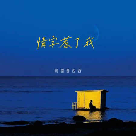 情字惹了我
