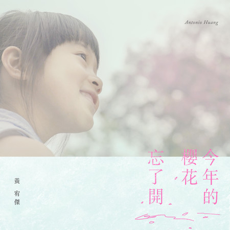 今年的櫻花忘了開