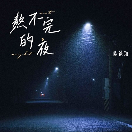 熬不完的夜(DJ沈念版)