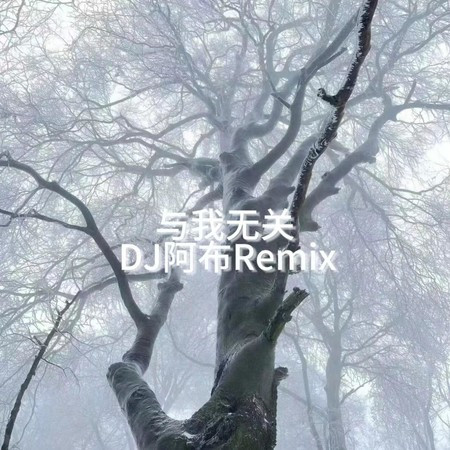 與我無關 (DJ阿布Remix)