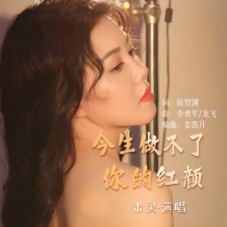 今生做不了你的紅顏