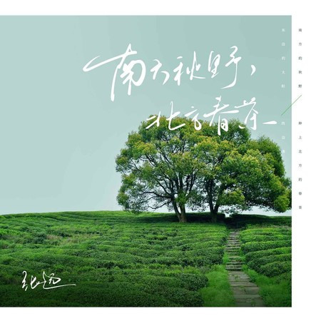南方秋野,北方春茶