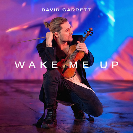 Wake Me Up (David Garrett Edition)