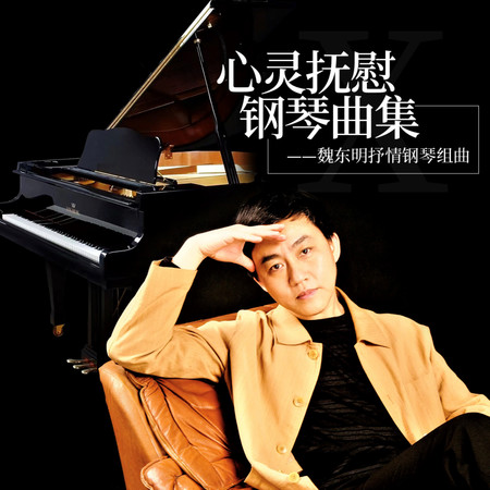 心靈撫慰鋼琴曲集