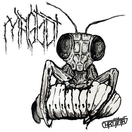 Maggot