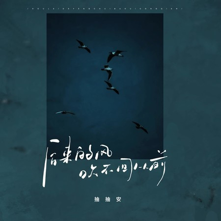 后来的风吹不回从前