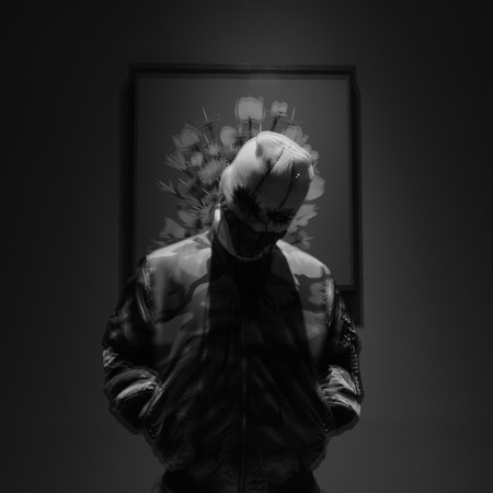 Flight above the waves