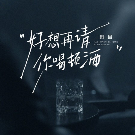 好想再请你喝顿酒 (扎心版)