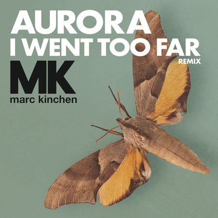 I Went Too Far (MK Remix Radio Version)