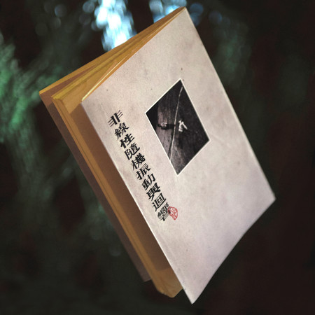非線性隨機振動與響應