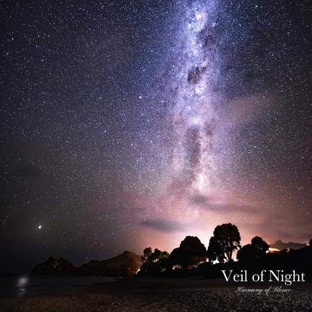 Veil of Night "Harmony of Silence"