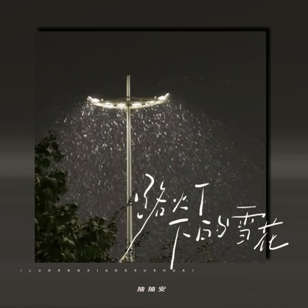 路灯下的雪花
