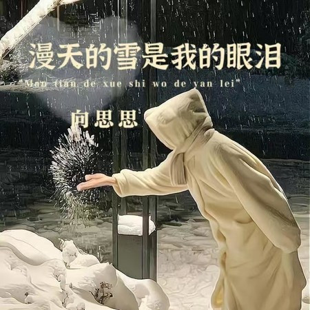 漫天的雪是我的眼泪