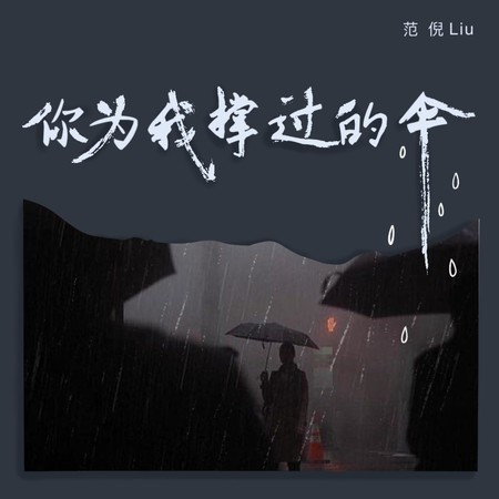 你为我撑过的伞