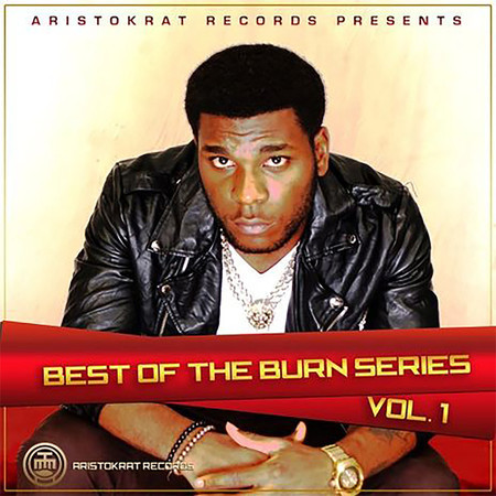 Best of Burn Series, Vol. 1