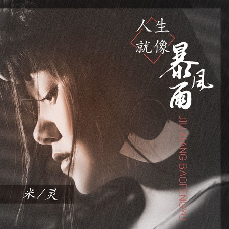 人生就像暴風雨