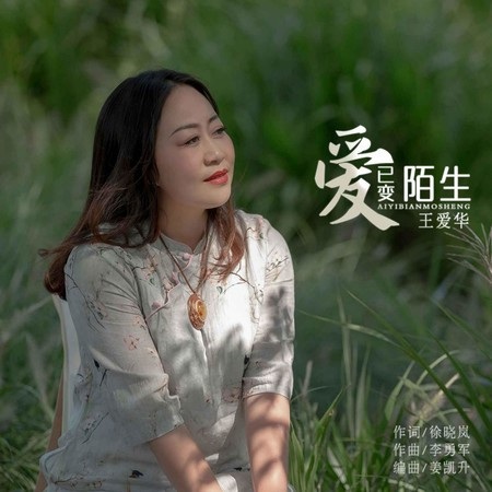 愛已變陌生(DJ默涵版伴奏)