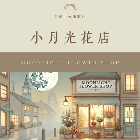 蒲公英的自由飛翔