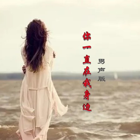 你一直在我身边 (DJ版)