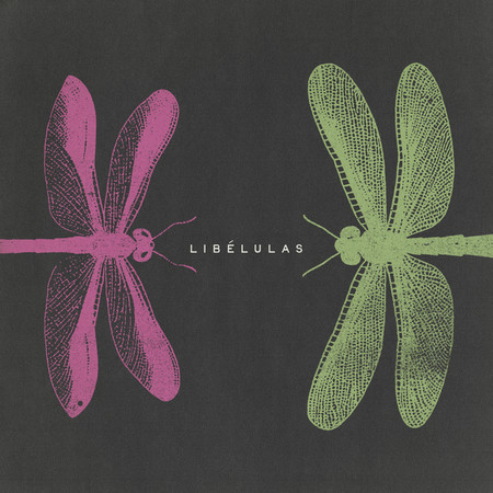 libélulas