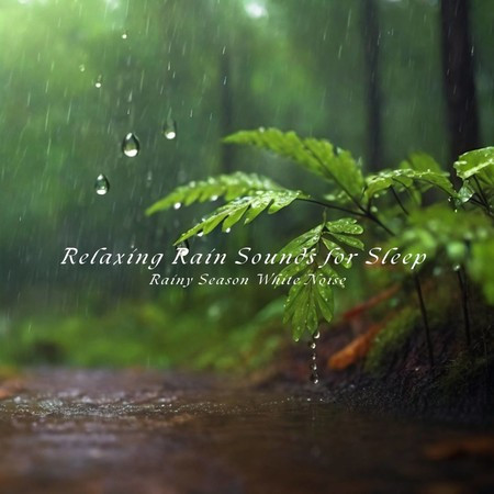 安眠小雨