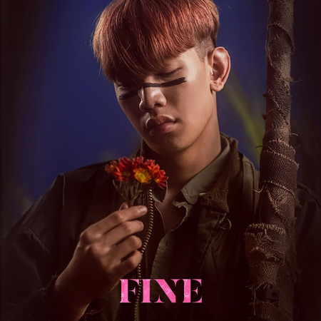 Fine