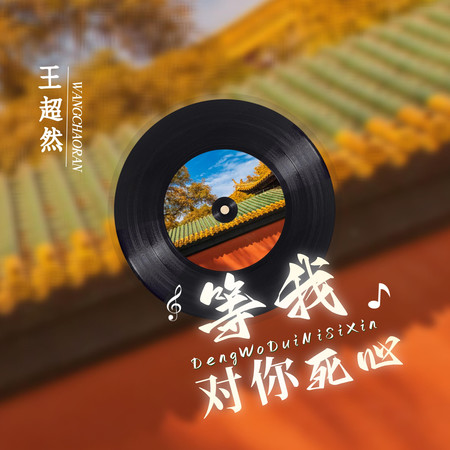 等我對你死心