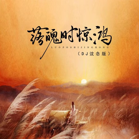 落魄时惊鸿 (DJ沈念版)