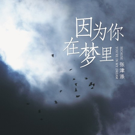 因為你在夢裡 (DJheap九天版)