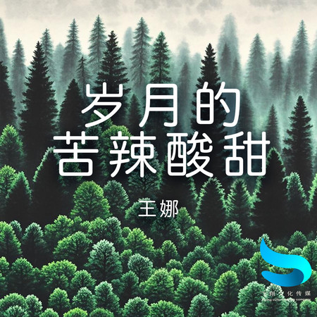 歲月的苦辣酸甜